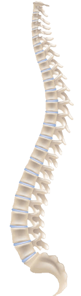 spine surgery in guntur